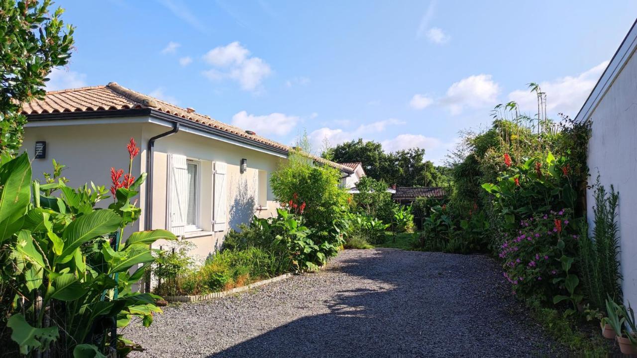 Maison Bassin D'Arcachon Gujan-Mestras Dış mekan fotoğraf